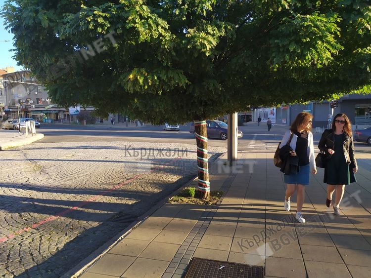 Започна среднощната война на предизборните плакати, предвидливо обвиха дърветата пред общината в трикольори