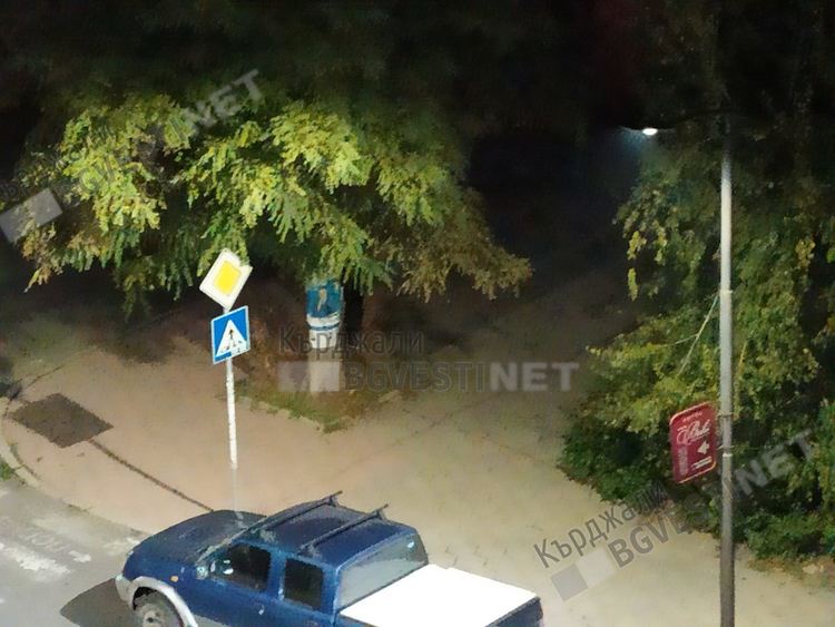 Започна среднощната война на предизборните плакати, предвидливо обвиха дърветата пред общината в трикольори