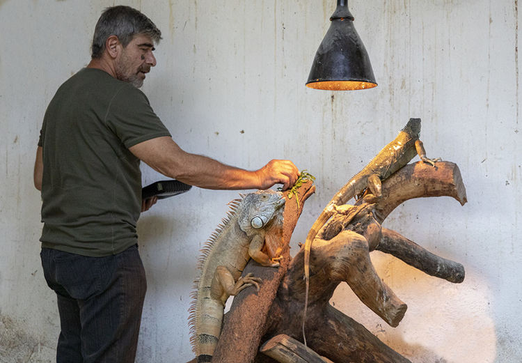 Сн.: Община Стара Загора