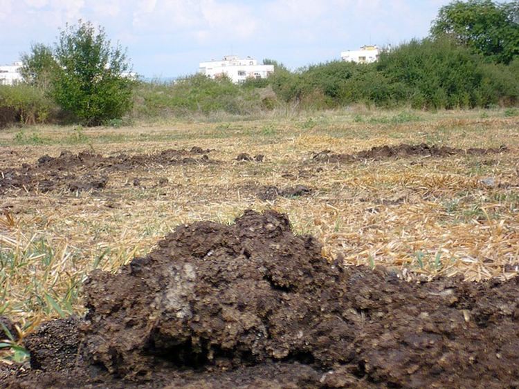 Апелират за предотвратяване на замърсяването с нитрати