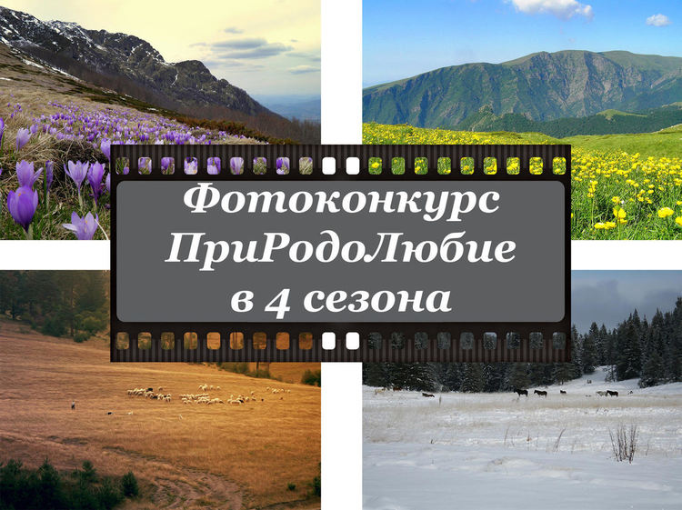 МОСВ обявява фотоконкурс „ПриРодоЛюбие в 4 сезона“, включва победителите в календар'2020