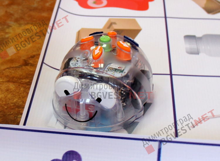 Деца от детската градина се запознаха с роботите Bee-Bot и ги програмираха