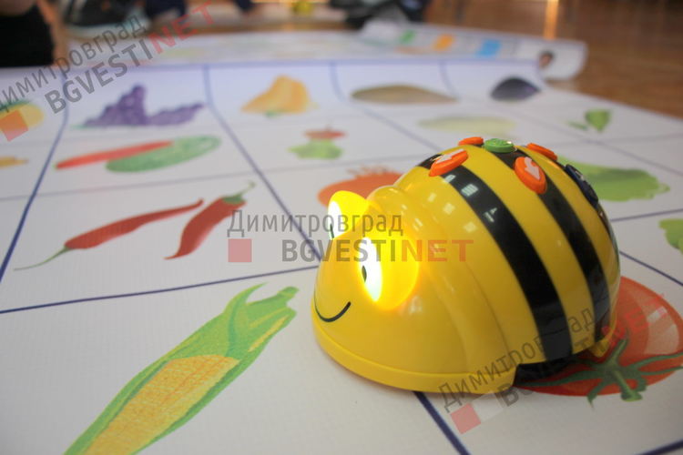 Деца от детската градина се запознаха с роботите Bee-Bot и ги програмираха