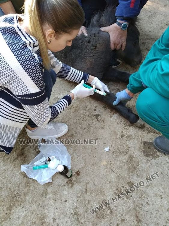 Виделина е под непрекъснато наблюдение на д-р Енчева