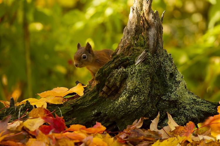 Циганско лято и този уикенд