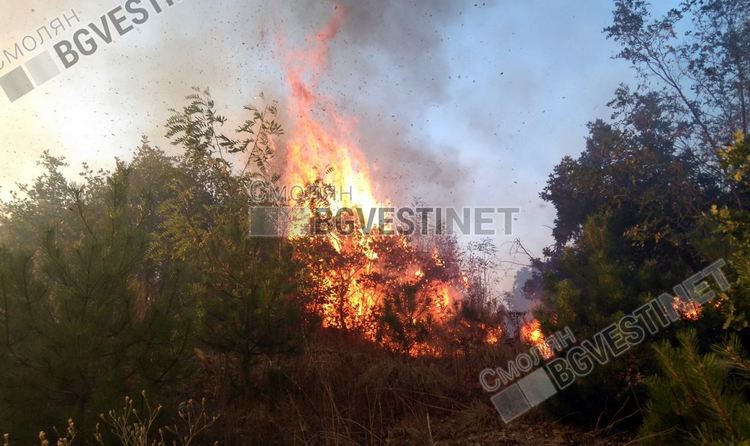 снимката е илюстративна