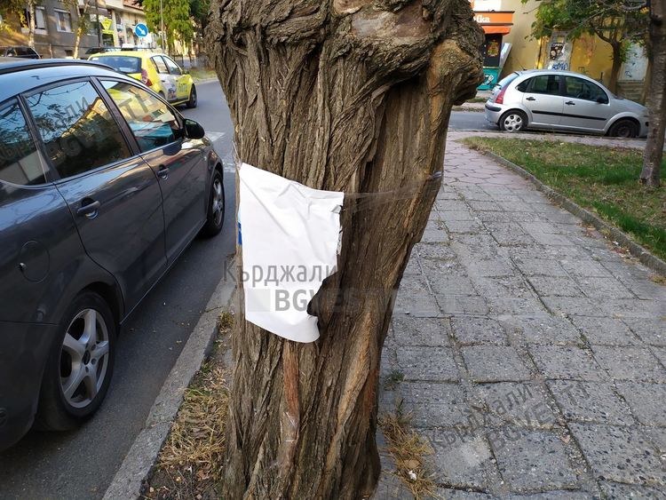 Партиите в Кърджалийско нарушават Изборния кодекс, масова практика е плакатната война