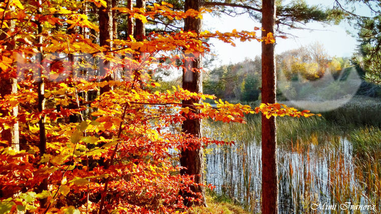 Приятно време и днес
