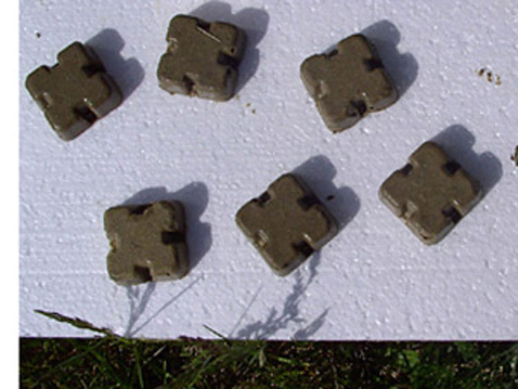 Пускат от въздуха ваксини против бяс по дивите хищници