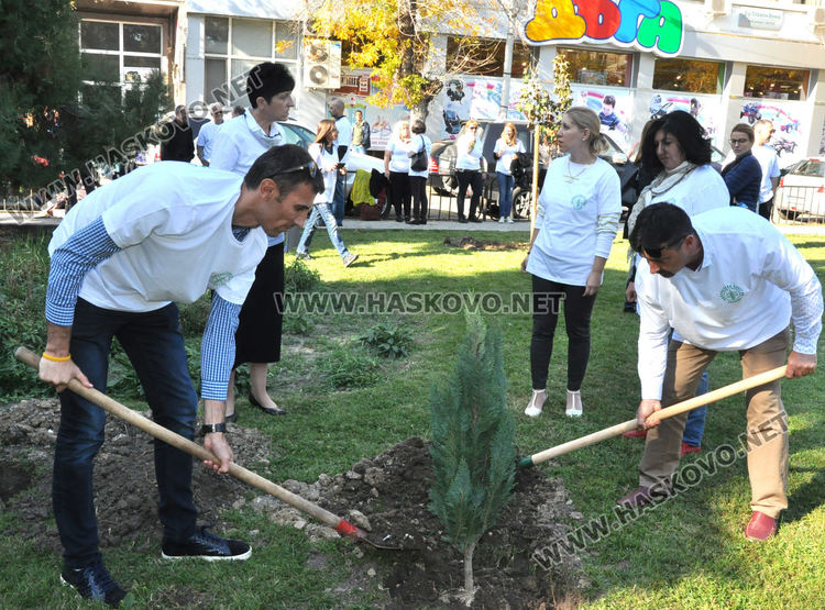Хасковски адвокати засадиха дръвчета в Деня на европейските адвокати