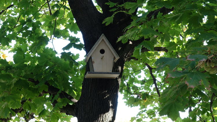 ПГДС отвори врати, състезания за Деня на строителя