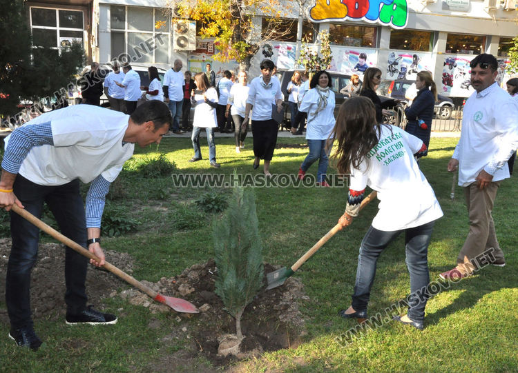Хасковски адвокати засадиха дръвчета в Деня на европейските адвокати