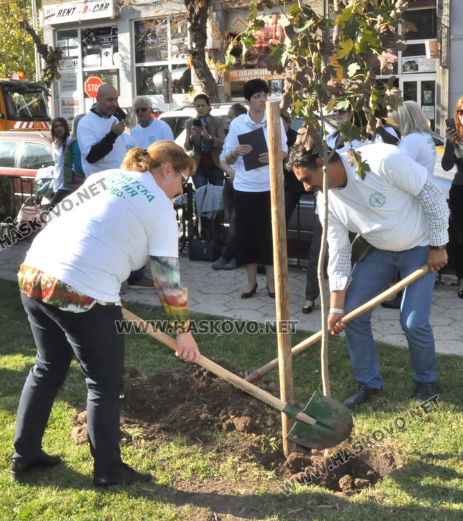 Хасковски адвокати засадиха дръвчета в Деня на европейските адвокати