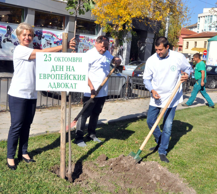 Съветникът Иван Минев търси терен за засаждане на 2324 дръвчета, колкото са му преференциите