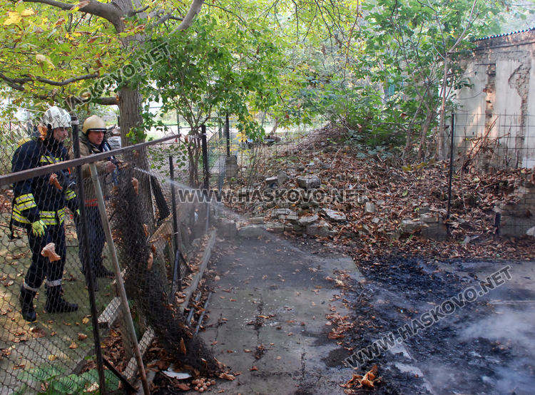 Пожар в сухи листа вдигна на крак огнеборците