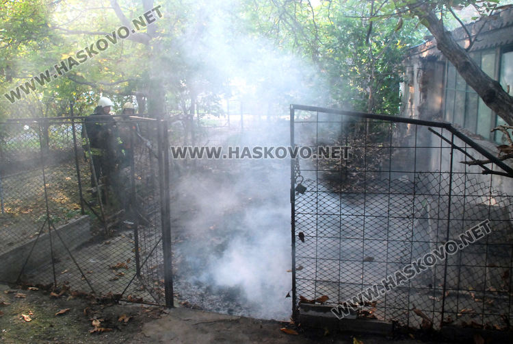 Пожар в сухи листа вдигна на крак огнеборците