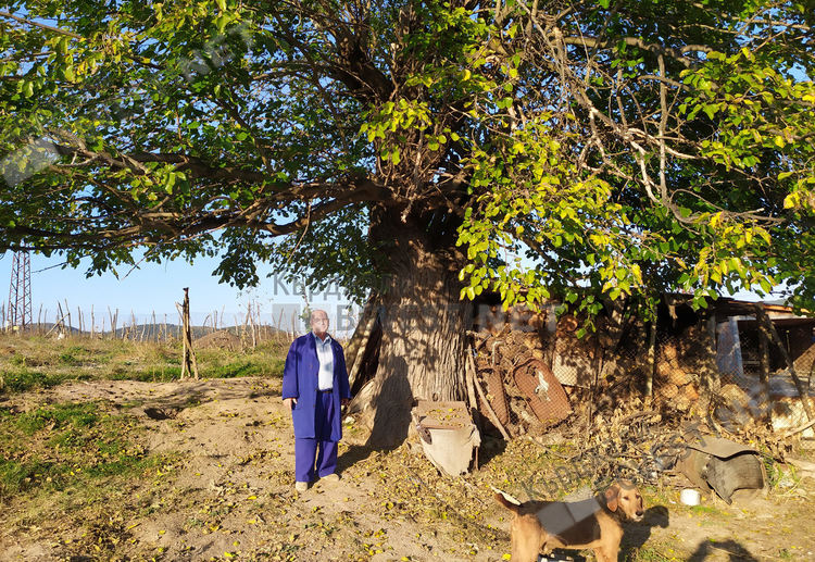 Добрина за Добриново, предизборните обещания се сбъдват