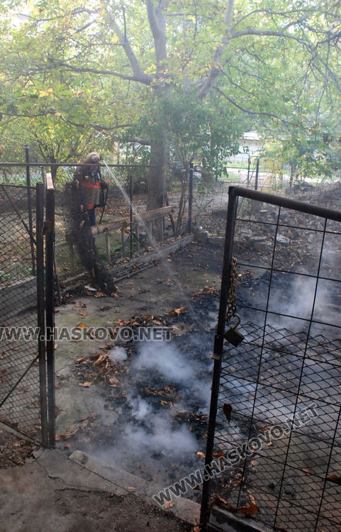 Пожар в сухи листа вдигна на крак огнеборците