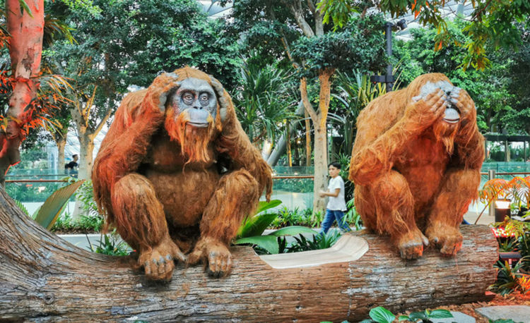 Разходка из гората край водопада в най-доброто летище в света (видео)