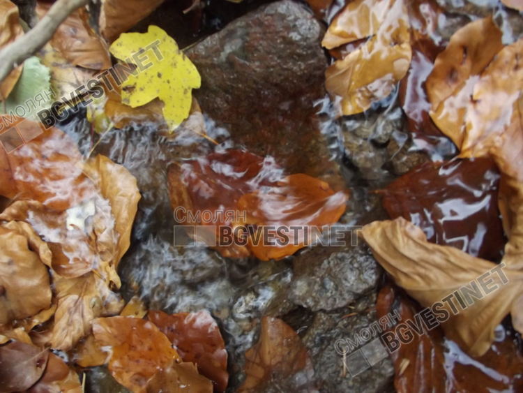 Студ, мъгла и дъжд в петък