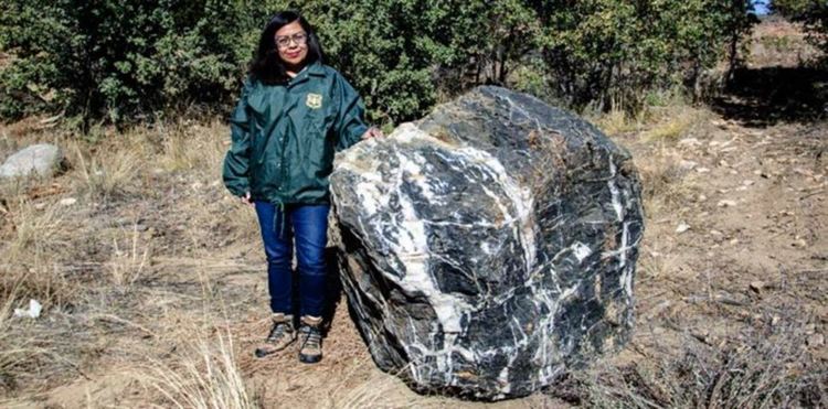 Сн.: Prescott National Forest