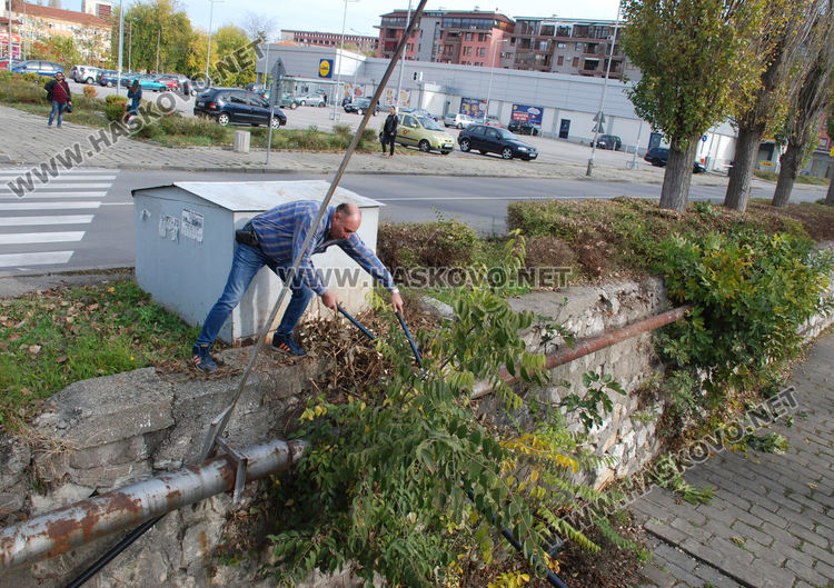 Автоинструктори кастриха храсти край кръстовище, за да осигурят видимост