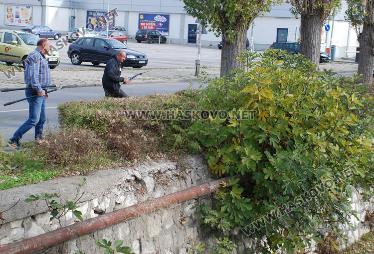 Автоинструктори кастриха храсти край кръстовище, за да осигурят видимост