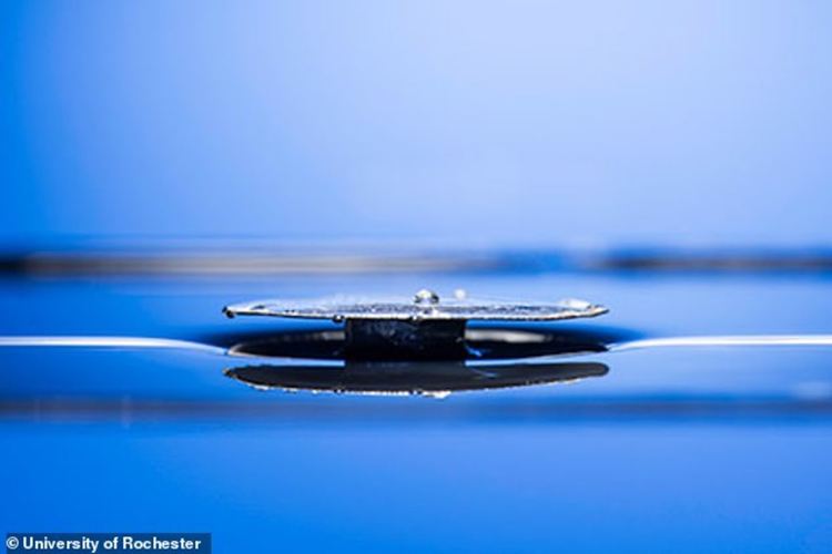 Огнени мравки вдъхновяват създаването на непотъващи кораби