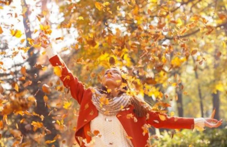 До 19 градуса в понеделник