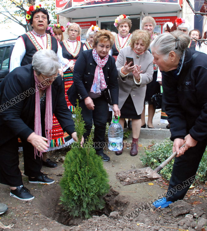 Засаждане на дръвче и измерване на кръвна захар в Световния ден за борба с диабета