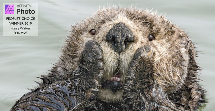 Най-смешните животни на планетата