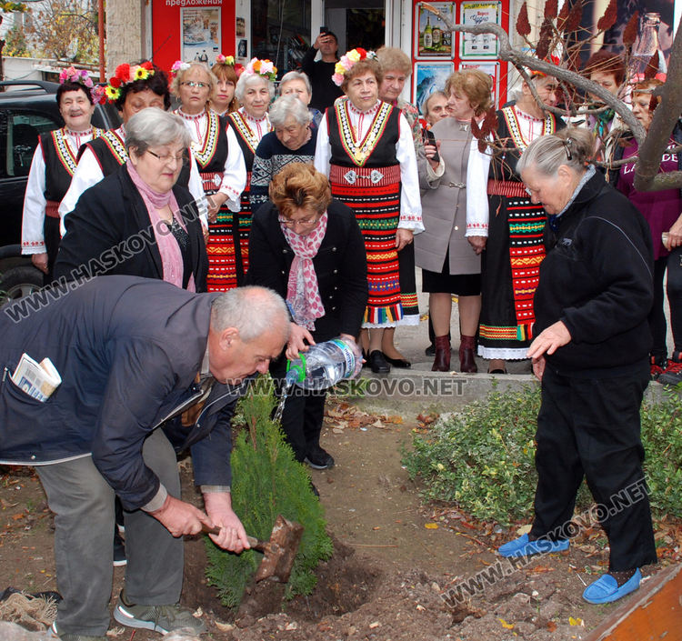 Засаждане на дръвче и измерване на кръвна захар в Световния ден за борба с диабета