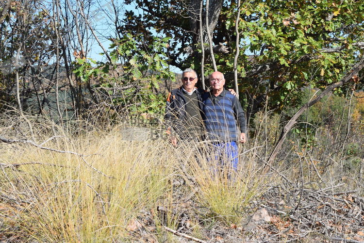 При гроба на Хамза баба