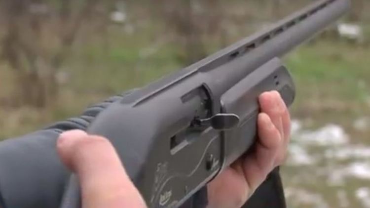 Задържаха мъж, застрелял с пушка питбул в главата