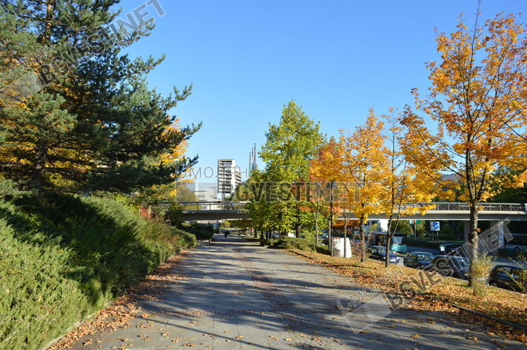 Слънчево във вторник, без валежи