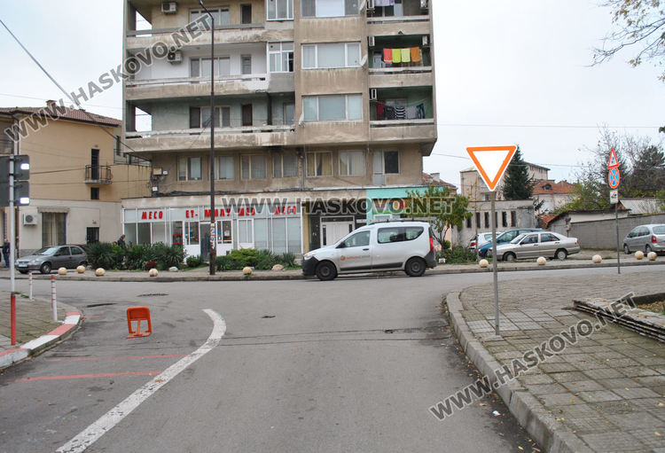 Блъсналият патрулката младеж е криминално проявен, брат му ругал полицаи