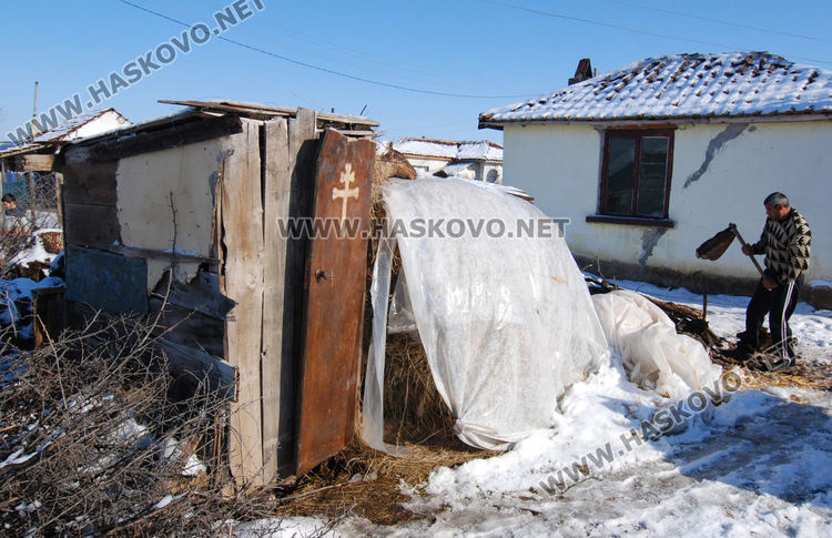 Световен ден на тоалетната