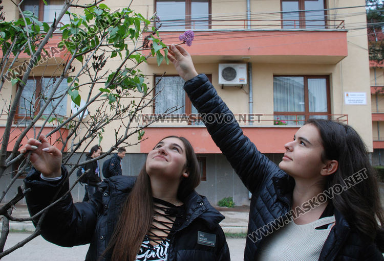 Цъфнаха люляци и лешници, зимата ще е студена