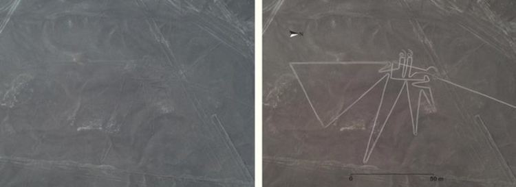 Геоглиф на птици, около 100 метра дължина. (Университет Ямагата)