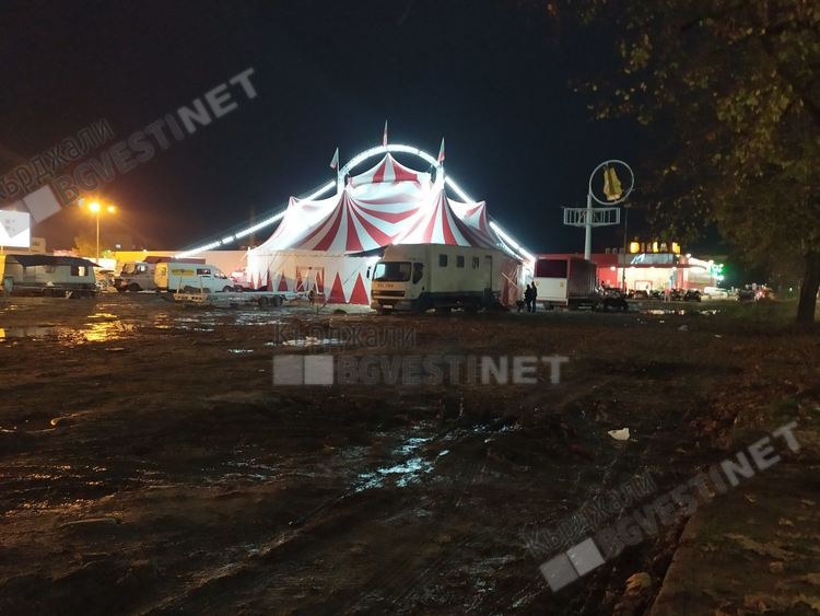 Цирк привлича дечица от Кърджали с безплатни билети, родителите се бъркат в джоба