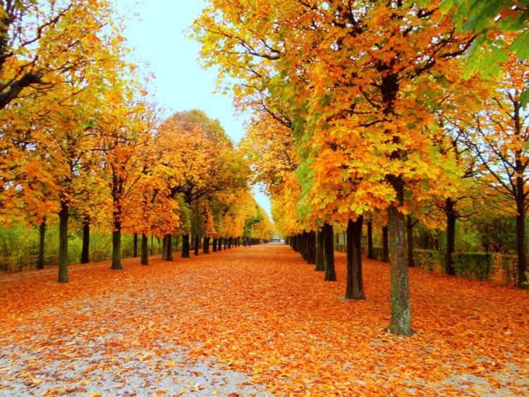 Превалявания привечер