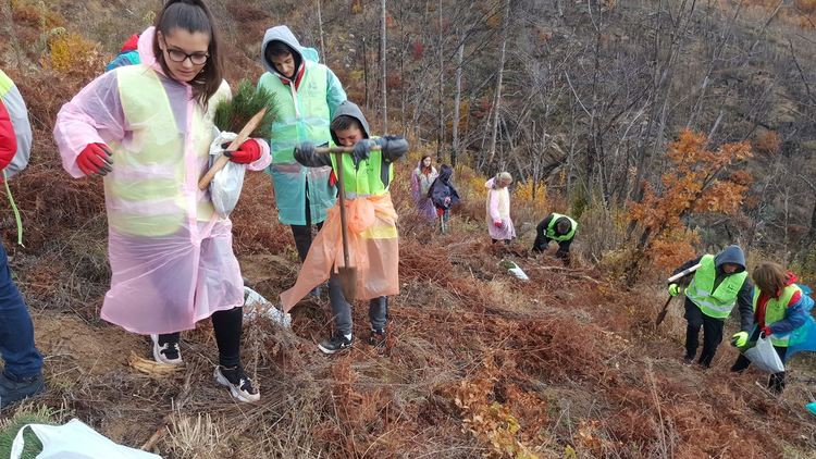 Смолянски хотелиери организираха залесяване на опожарена гора край Ардино
