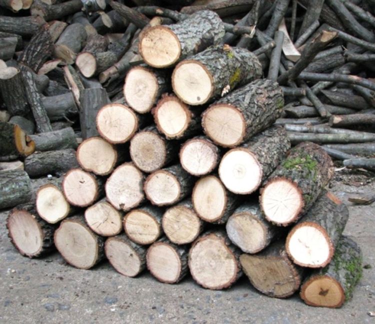 1 252 ардинчани получиха парични помощи за отопление 