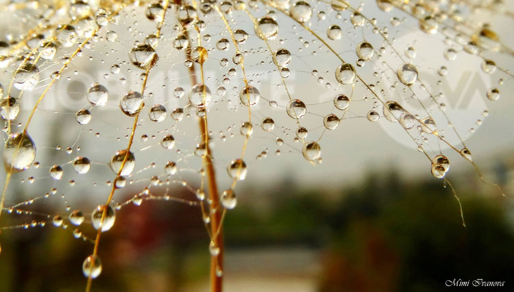 Облачна неделя