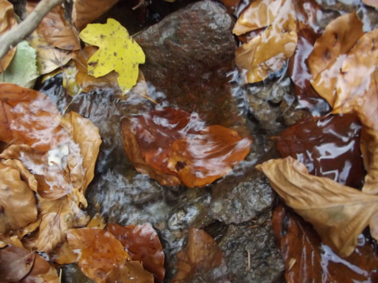 Жълт код за валежи в понеделник, ще бъде облачно и ветровито