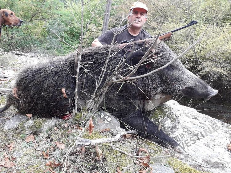 Метин Хафъзсалим