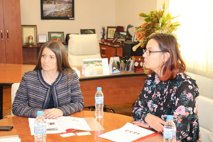 EVN инвестира 9 млн. лв. в Хасковско, инсталирали 1 млн. дистанционни електромери