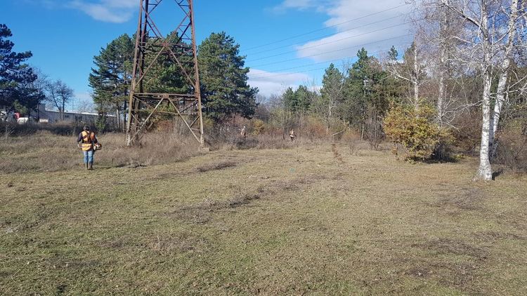 Съветникът с 2324 преференции ще сади дръвчета в неделя, кани и граждани