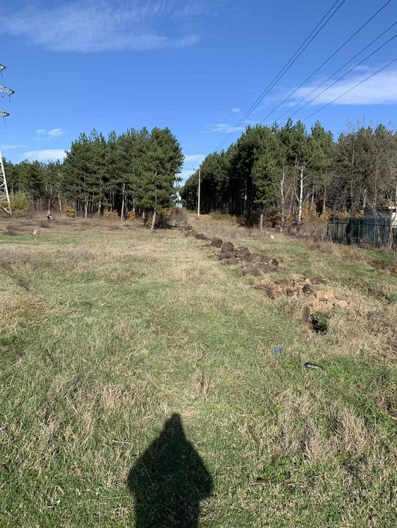 Съветникът с 2324 преференции ще сади дръвчета в неделя, кани и граждани