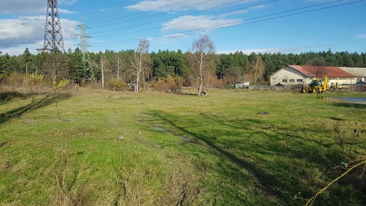 Съветникът с 2324 преференции ще сади дръвчета в неделя, кани и граждани